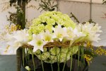 Flower_Exhibition_2007_070