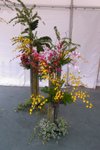 Flower_Exhibition_2007_072