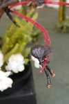 Flower_Exhibition_2007_073
