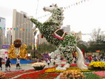 IMG_0050