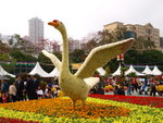 P3130178