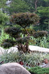 HK_Park_58