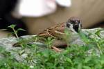 HK_Park_03