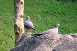 HK_Park_39