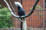 HK_Park_40