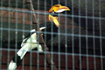HK_Park_41