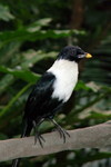 HK_Park_43