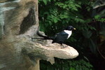 HK_Park_44