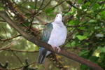 HK_Park_46