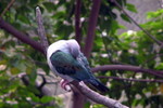 HK_Park_47