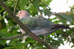 HK_Park_48