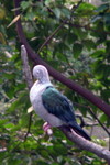 HK_Park_49