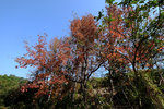 DSCF0257
