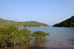 DSCF0361