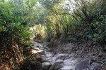 DSCF0371