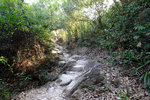 DSCF0372