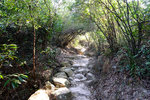 DSCF0373