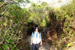 DSCF0375