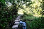 DSCF0378