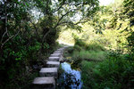 DSCF0379
