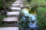 DSCF0380