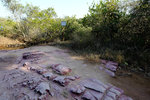DSCF0394