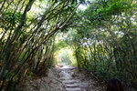 DSCF0397