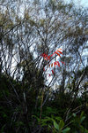 DSCF0398