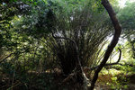 DSCF0401