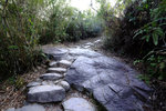 DSCF0402