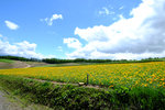 Hokkaido_20140621_069