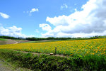 Hokkaido_20140621_070