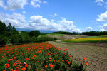 Hokkaido_20140621_073