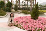 Disney_Hotel_048