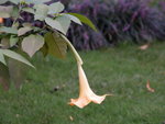 P8286390