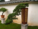 P8286397