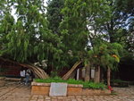 P8306622