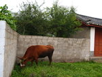 P8306631