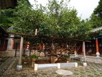 P8306639