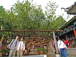 P8306640