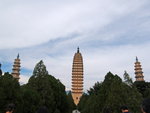 P8316848
