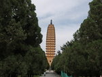 P8316849