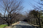 Kyushu_2015_0042