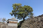 Kyushu_2015_0055