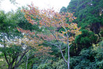 Kyushu_2015_0167