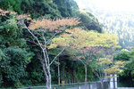 Kyushu_2015_0168