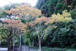 Kyushu_2015_0169