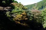 Kyushu_2015_0180