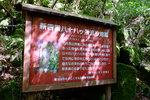 Kyushu_2015_0186