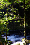 Kyushu_2015_0194